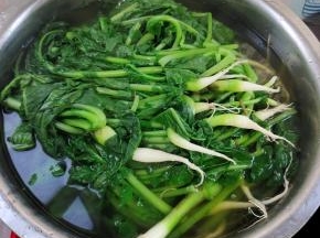 捞出放在无油无水的大盆中！再把烫萝卜缨的水倒进来！