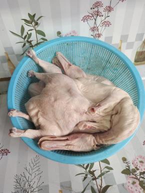 鸭子去内脏，清洗干净沥干水分备用！