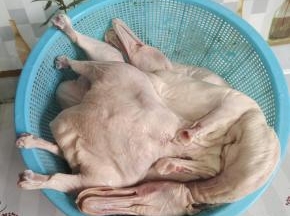 鸭子去内脏，清洗干净沥干水分备用！