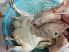 把鸭头取下来，（攥起来卤鸭头吃！）