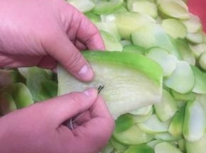 把棉绳穿进发卡里，用发卡代替针，把萝卜片串起来。（棉绳的长度可以随自己的喜欢来选择。）