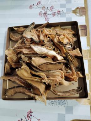 彻底晒干的萝卜干收起来，装在塑料袋中密封保存即可。晒干的萝卜干吃的时候提前一天用温水泡发即可。泡发好的萝卜干，会变得很厚实，炒着吃，炖着吃，凉拌着吃，随你喜欢哦。