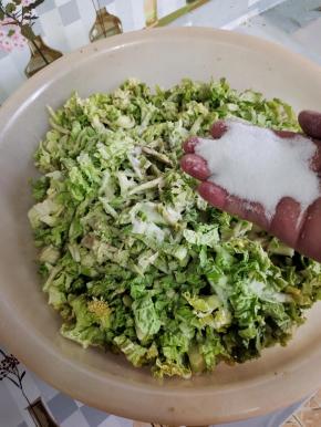 放入适量的盐！（按照10斤白菜3两盐的比例来放！比平时炒菜要稍微咸一点点！）