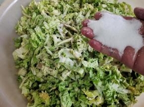 放入适量的盐！（按照10斤白菜3两盐的比例来放！比平时炒菜要稍微咸一点点！）