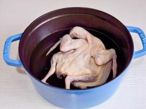 锅中加水，放入乳鸽。