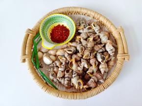 贝贝螺用清水反复多清洗几次。