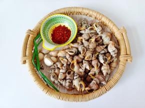 贝贝螺用清水反复多清洗几次。