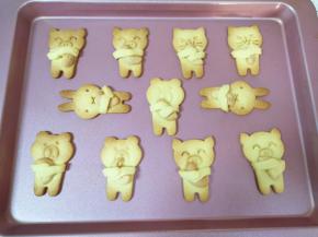 动物抱抱饼干出炉啦！ 