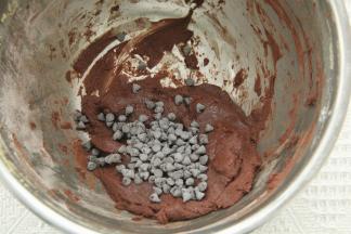 放入耐烤巧克力豆拌匀。