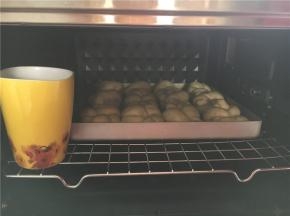 放温暖湿润处发酵。