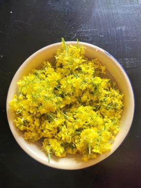 油菜花放在淡盐水中浸泡10分钟，清洗干净，捞出沥干水分备用！