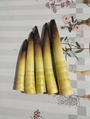 今天买的鲜嫩的雷笋，把笋去除头尾，尾部的笋叶拔掉一部分，头部笋叶留一部分！