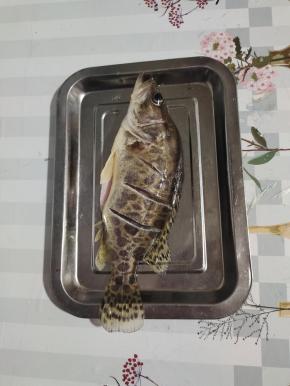 鲫花鱼去鳃去内脏，清洗干净，再在两面斜着划几刀！