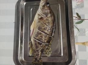 鲫花鱼去鳃去内脏，清洗干净，再在两面斜着划几刀！