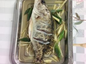 鲫花鱼两面均匀涂抹少许盐，再放入适量的料酒，姜丝，葱叶抓拌均匀腌制10分钟！