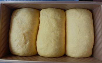 放入烤箱二次发酵，烤箱内放一碗热水保湿，温度35度，发酵至模具八分满。烤箱上火160 下火175烤，盖盖子烤40分钟即可。