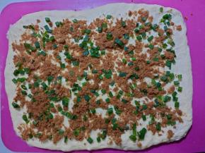 撒上提前准备好的香葱和肉松。