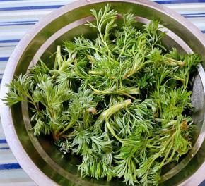 白蒿简单的摘去杂质去蒂因为摘的时候已经非常细心的挑选了