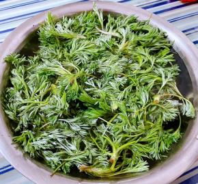 白蒿在清水中浸泡一会儿清洗干净