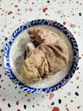 提前煮熟的猪肚一个备用！（猪肚买回来先用面粉抓拌均匀揉搓五分钟左右，用清水清洗干净，再放入葱叶，白醋抓拌揉搓均匀，腌制半个小时，再次用清水清洗干净！放入锅中倒入适量的料酒，生姜，葱段煮至能用筷子扎透就可以捞起来了！）