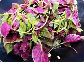 加入红苋菜翻炒片刻