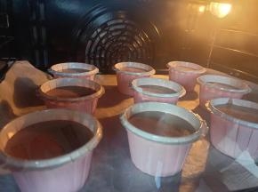 将面糊装入纸杯，入预热好的烤箱中下层120度40分钟，转135度再烤20分钟