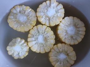 电炖锅内放入玉米。