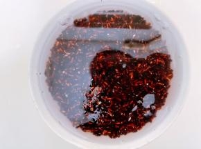 黑米淘洗干净后，用水泡4个小时