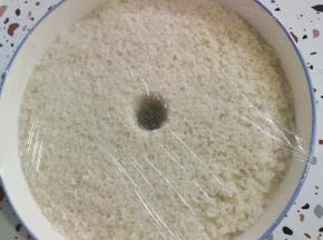 这是发酵三天的甜酒酿！