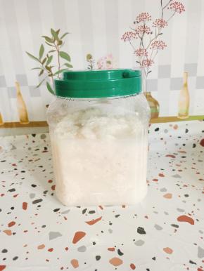 装在无油无水的，干净的容器中，密封好，放入冰箱冷藏保存！这样就可以一直吃到甜甜的嫩甜酒酿了！喜欢酒劲儿大的，可以不用放冰箱冷藏保存，直接室温放置即可！