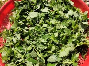 清洗干净，沥干水分，放在太阳下晒两天！