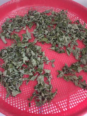 把大茴香完全晒干就可以了！（晒干后容易保存，不会腐烂，变质！）