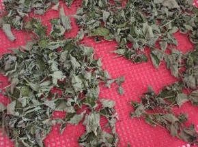 把大茴香完全晒干就可以了！（晒干后容易保存，不会腐烂，变质！）