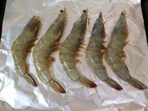 烤盘里铺上锡纸，放上腌制好的海虾，刷上一层橄榄油。 