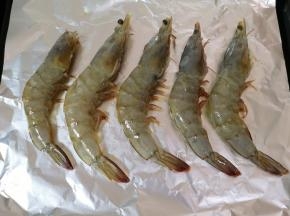 烤盘里铺上锡纸，放上腌制好的海虾，刷上一层橄榄油。 