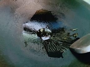 锅里加入适量植物油