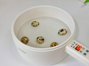 鹌鹑蛋煮熟。