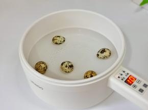 鹌鹑蛋煮熟。