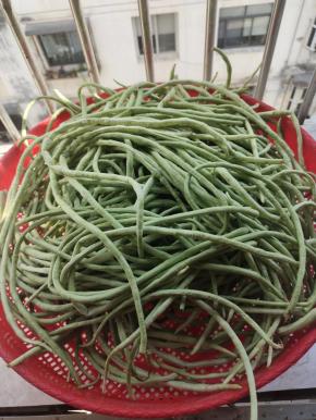 嫩豇豆不用去蒂，清洗干净，放在阳台上晾干水分备用！