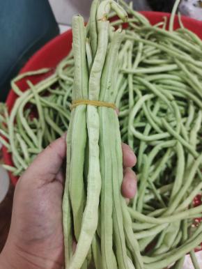 把晾干水分的豇豆，用皮筋绑成一小捆儿，一小捆儿！这样吃的时候，方便取出！