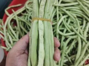 把晾干水分的豇豆，用皮筋绑成一小捆儿，一小捆儿！这样吃的时候，方便取出！