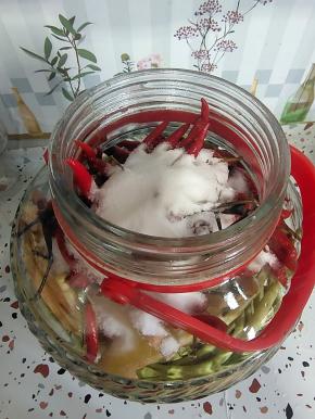 放入姜片，泡椒（连泡椒水一起倒入），小米辣，盐！