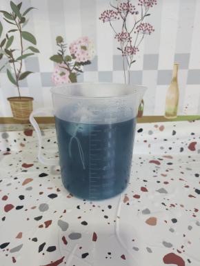 蝶豆花倒入开水提前冲泡好，就变成蓝色的蝶豆花水啦！