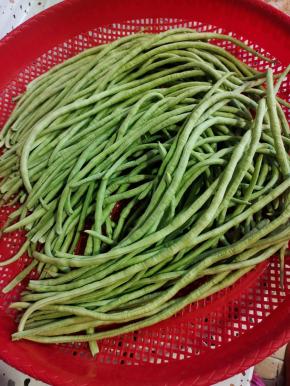 选择嫩豇豆，清洗干净，晾干水分备用！