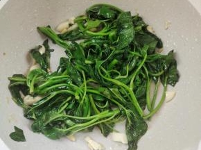 起锅烧油放入生姜大蒜爆香，放入青菜翻炒片刻，放入少许盐翻炒均匀，出锅备用！