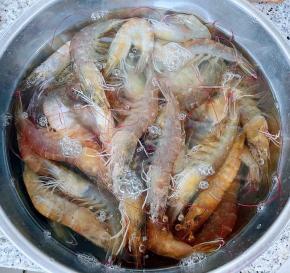 在市场买到鲜活的海虾好开心 准备做一道鲜美的生腌美味 海虾在清水中清洗干净