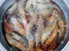 在市场买到鲜活的海虾好开心 准备做一道鲜美的生腌美味 海虾在清水中清洗干净