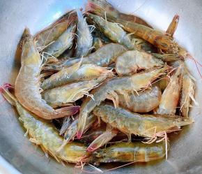 海虾清洗干净沥干水份备用