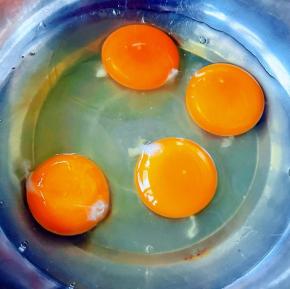 朋友自家养的溜达鸡营养价值更高鸡蛋打入容器中