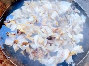 锅中烧开水倒入料酒下入红里螺肉肉焯水15秒立即盛出（切记时间不能过长否则肉肉口感就会特别硬）